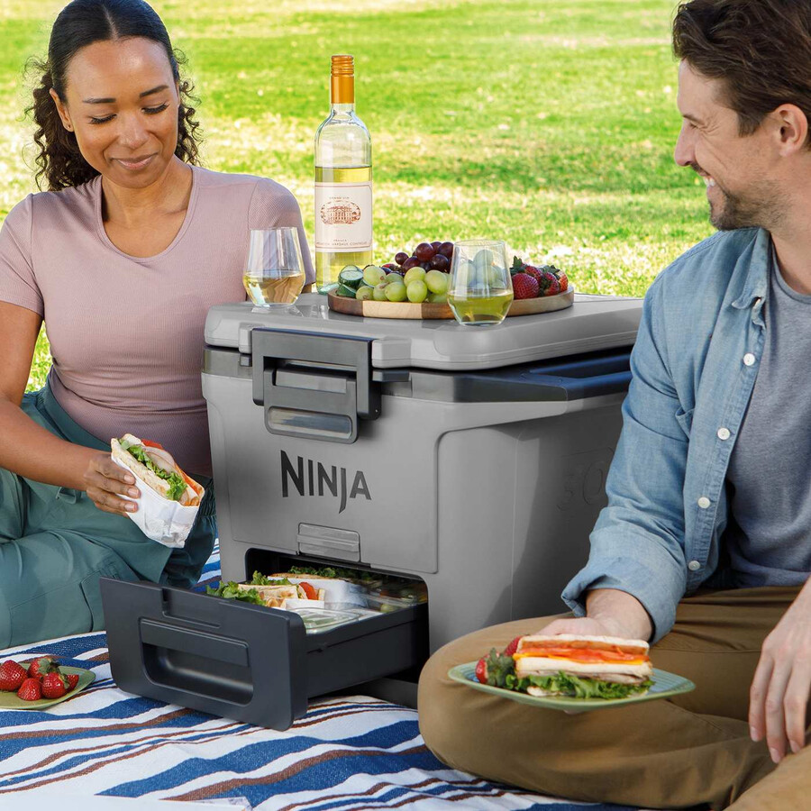 ninja frostvault 30qt28l harde koeler - leisteengrijs fb131ukgy