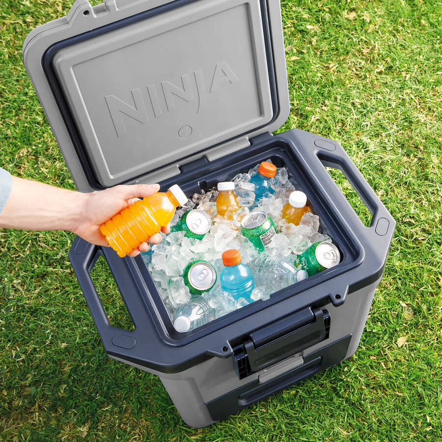 ninja frostvault 30qt28l harde koeler - leisteengrijs fb131ukgy