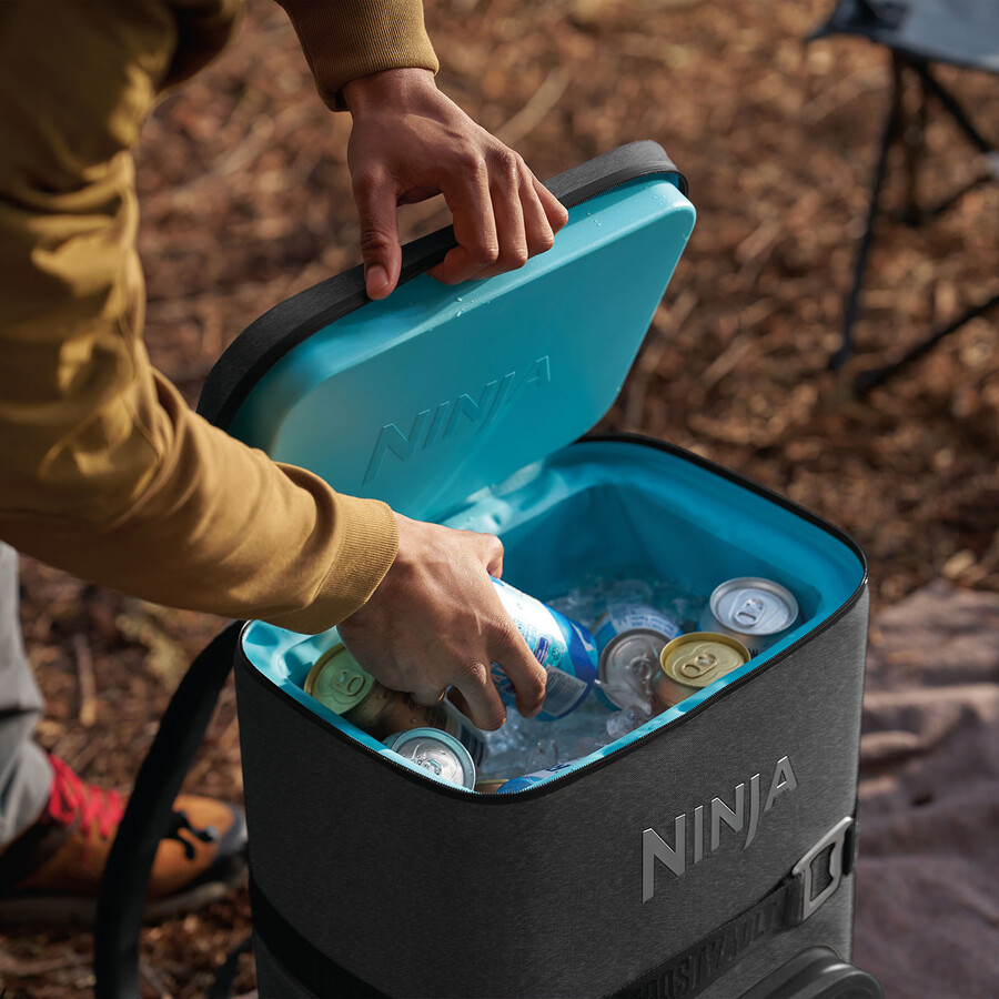 ninja frostvault go rugzakkoeler van 23 liter met ruimte voor 36 blikjes - antracietgrijs