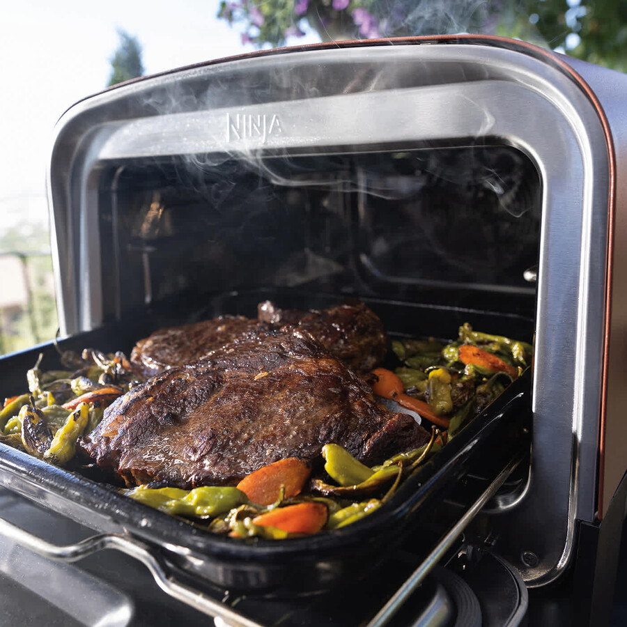 ninja houtgestookte buitenoven ambachtelijke pizzamaker en barbecue-smoker met standaard en afdekking.