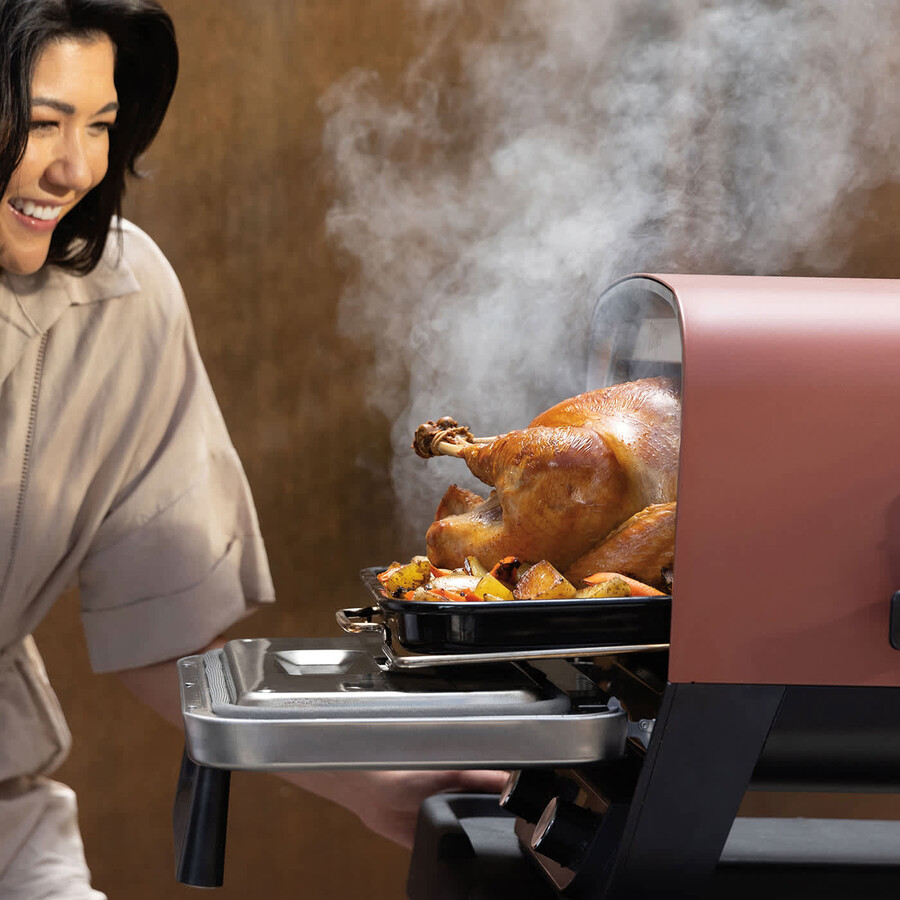 ninja houtgestookte buitenoven ambachtelijke pizzamaker en barbecue-smoker met standaard en afdekking.